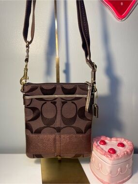 Coach Brown Signature Stripe Crossbody with Gold Hardware